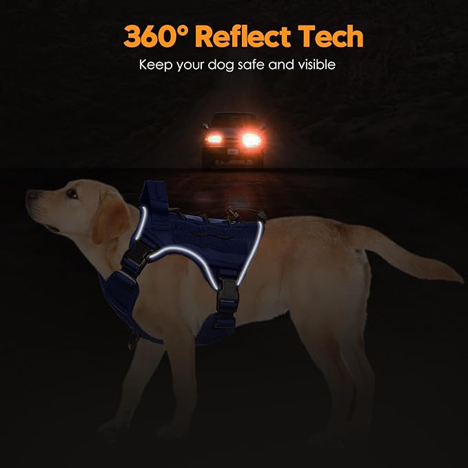 Heavy-Duty Tactical Dog Harness for Large Dogs, No Pull Adjustable Reflective Pet Vest with Molle System, K9 Military-Grade Control for Service Training, Outdoor & 10+ Breeds, Dazzling Blue, Small