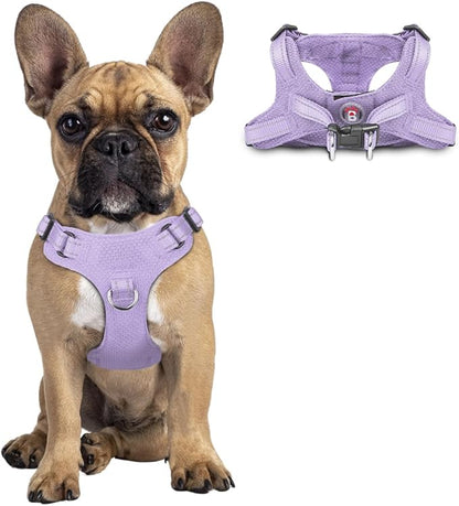 Dog Harness Step in Dog Vest Harness, Reflective Adjustable Puppy No Pull Harness Breathable Soft for Small and Medium Dogs Cats, Violet Purple, S