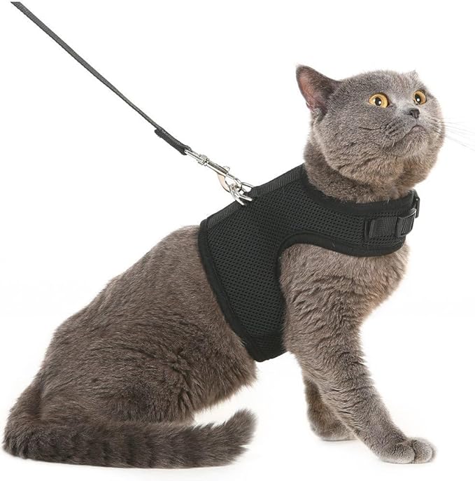 PUPTECK Soft Mesh Cat Vest Harness and Leash Set Puppy Padded Pet Harnesses Escape Proof for Cats Small Dogs Rabbits Bunny, Black XL