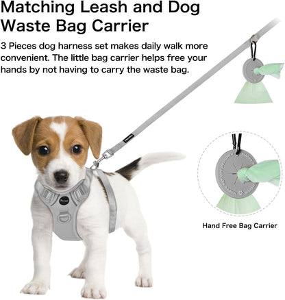 Petmolico Dog Harness for Small Dogs, Cute Harness Vest with Two Leash Clips and Soft Handle, Reflective Easy Walk Puppy Vest - Grey, Medium