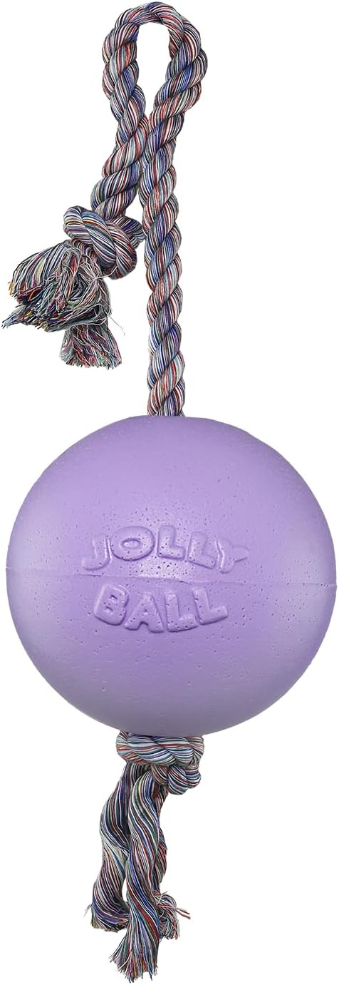 Jolly Pets Romp-n-Roll Rope and Ball Dog Toy, 6 Inches/Medium, Light Purple