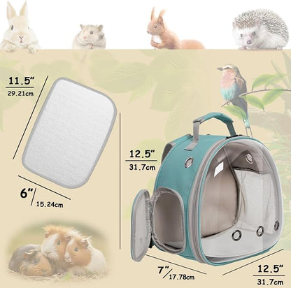 Guinea Pig Backpack Carrier, Bearded Dragon Carrier Backpack with Clear Bubble Window,Small Animal Travel Backpack for Hedgehog Rat，Chameleon,Rabbit,Sugar Glider,Airline Approved (Green, Backpack)