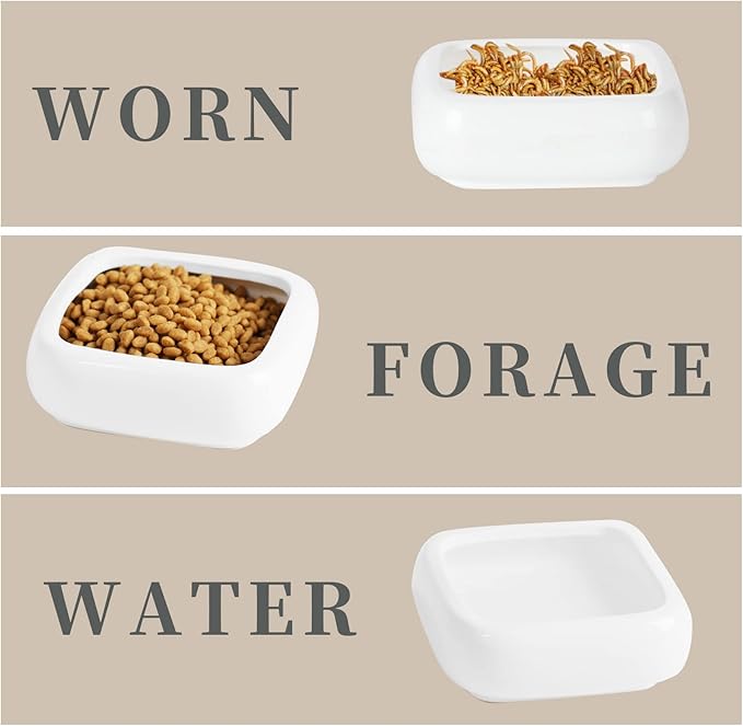 Reptile Food Bowls Ceramic Square Reptile Water Food Dish, Pet Food Bowl for Lizards, Young Bearded Dragons, Small Snakes, Gecko Tortoise Spider (White, Small 2-Pack)