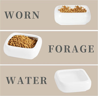 Reptile Food Bowls Ceramic Square Reptile Water Food Dish, Pet Food Bowl for Lizards, Young Bearded Dragons, Small Snakes, Gecko Tortoise Spider (White, Large-2Pack)