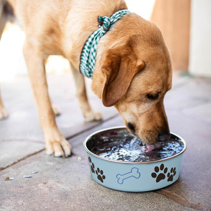 Loving Pets Bella Dog Bowls- Stainless Steel Dog & Cat Bowls - Spill Proof Dog Food Bowl, Cat Bowl, Puppy Essentials & Pet Supplies Great for Home & Travel (Medium 20-35 lbs, Murano Blue)