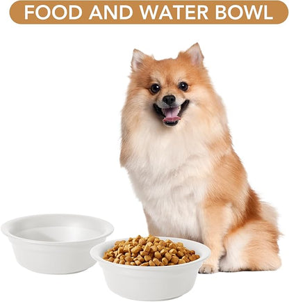 Ceramic 6.3inch Set of 2 Dog Bowls, 2pcs Basic Food and Water Dishes for Small and Medium Dogs, Wide Opening Rounded Edge (2 Bowls, Matt White)
