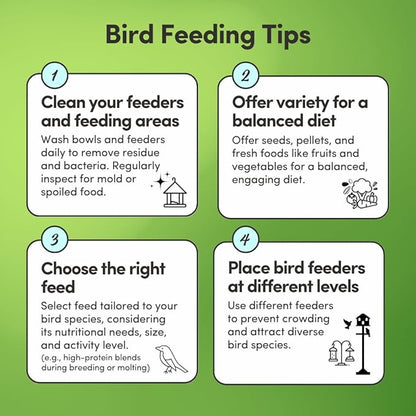 Mycelium Organic Conure Plus Feed (5 LBS) | High-Protein Bird Seed for Conures | Brain & Heart Health, Vitamin-Fortified Daily Nutrition | Omega-Rich, Non-GMO, USA Made