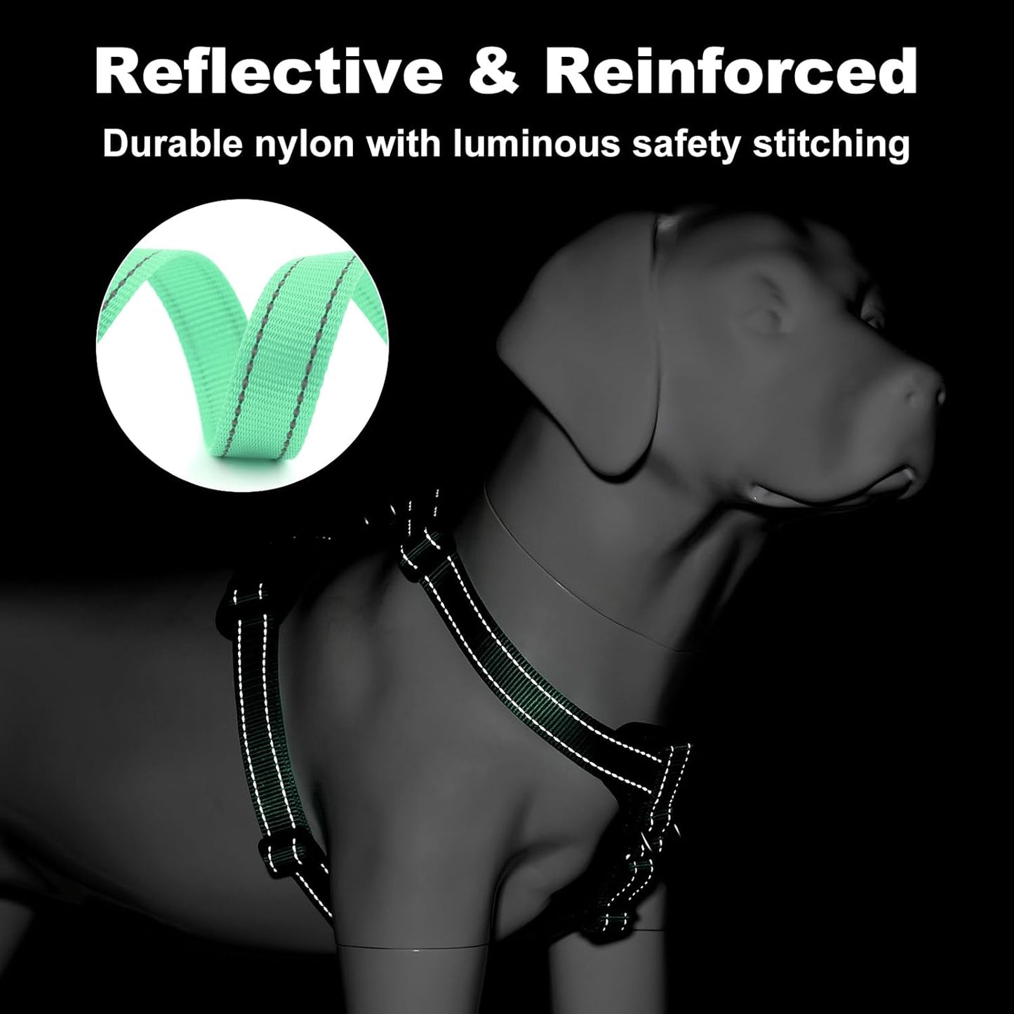 Plutus Pet Adjustable No Pull Dog Harness with Leather Accents, Heavy Duty Reflective Nylon Vest for Training, Hiking, Easy Walk Harness for Small, Medium, Large Dogs (Teal, S)