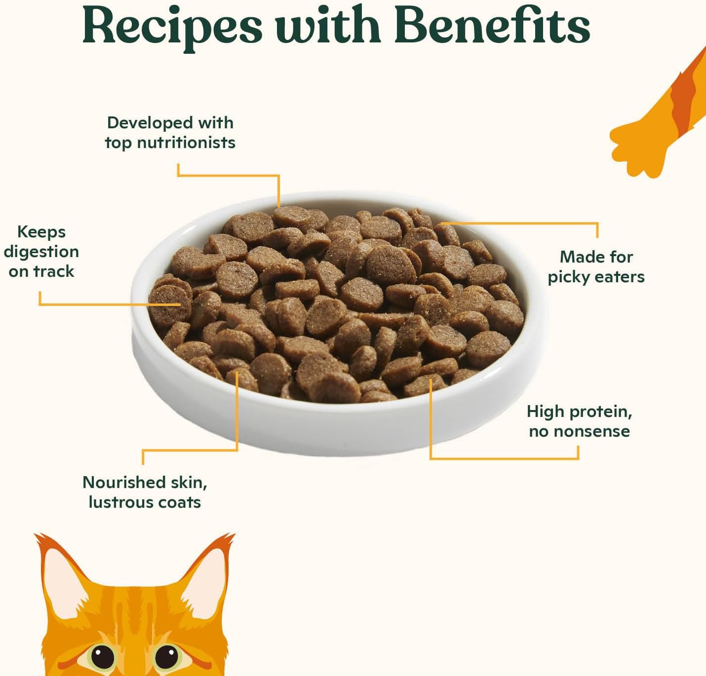 Made by Nacho Kitten Dry Kibble Infused with Bone Broth, Healthy High Protein Cat Food, Cage-Free Chicken and Chicken Liver, 2lb Bag