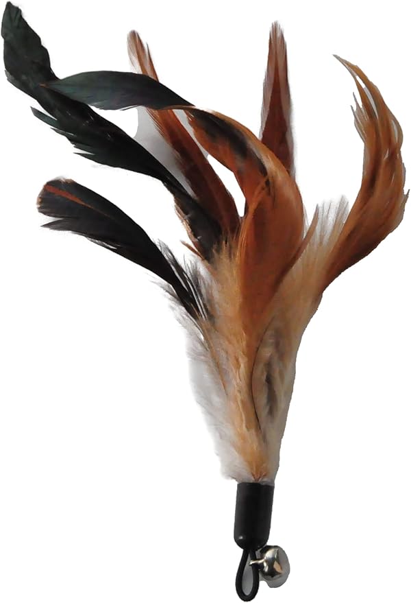 Cat Toys - No Chemical Dyeing Cat Feather Toys for Indoor Cats - Include Cat Wand and Natural Feather Refills