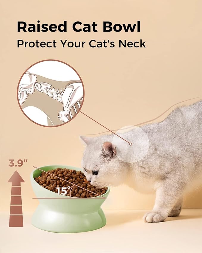 LoeJan Elevated Cat Food Bowl, 5 Oz Ceramic Raised and Tilted Water Bowl, Anti Vomiting and Protect Pets' Spines Dishes for Small Dog, Fat Faced Cat, Kitten (Green, 2 Pack)