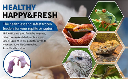 MiceDirect EST. 2003 50 Frozen Mice Combo Pack of 25 Pinkies and 25 Small Fuzzies Feeders Snake Food for Corn Snakes Ball Pythons Lizards (.5-1 in)(125 Grams Min)