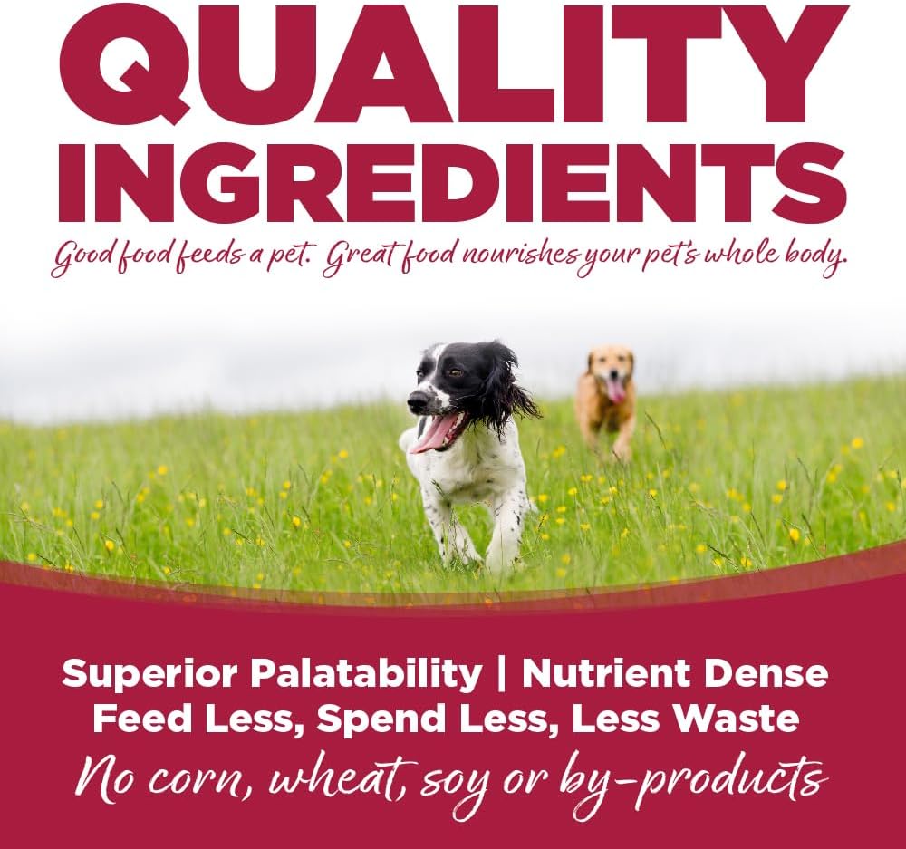 NutriSource Chicken, Lamb & Ocean Fish Recipe Dog Food, Premium Wet Dog Food, 12.3 Ounce (Pack of 12)