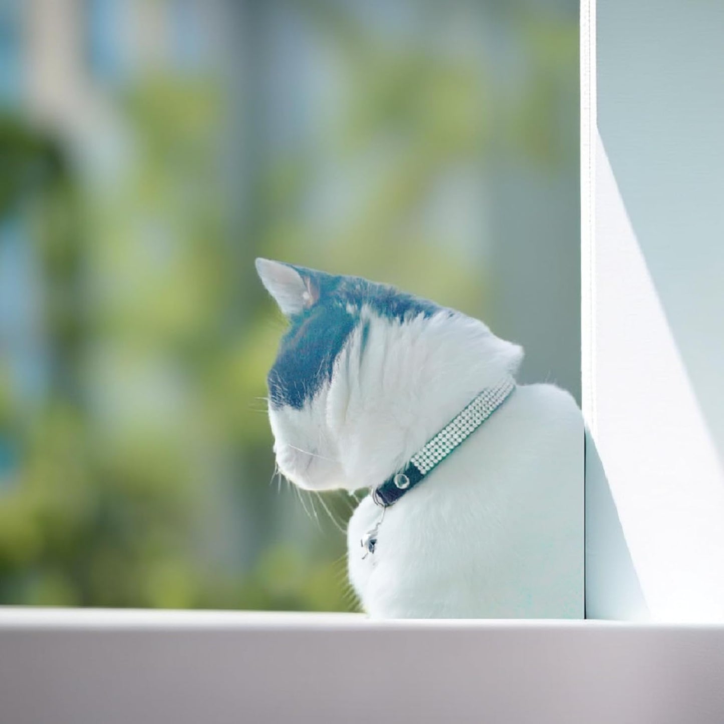 Rhinestone Cat Collar Breakaway Safety Buckle with Bell, Adjustable Diamond Girl Boy Kitty Cute Comfy Collar for Kitten Small Pets Rabbits, 7.5"-11" Sky Blue