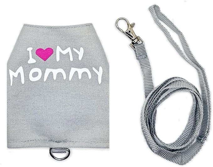 Bearded Dragon Harness and Leash Set - Cute Lizard Reptile Small Animal Adjustable Harness Clothes with Short Leash for Walking Outdoor (Black)