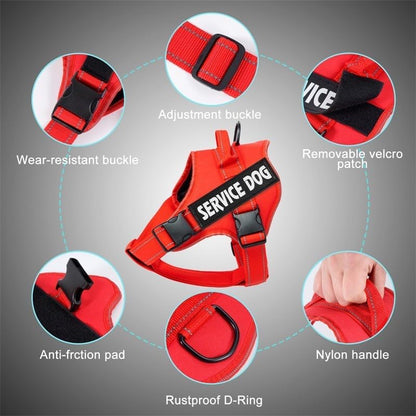 Custom Personalized No Pull Dog Harness with ID Name Phone Number and Rope Dog Leash Set, Heavy Duty Reflective Easy On Pet Vest Harness for X-Small Small Medium Large X-Large Dogs