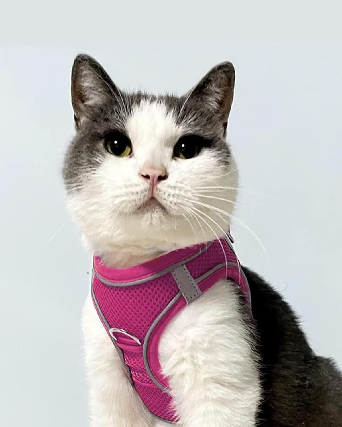 Joytale Small Dog Harness, Breathable Mesh Step-in Vest, Reflective Soft Padded Harnesses for Cats, Puppies and Extra Small Dogs, Hot Pink, XXS