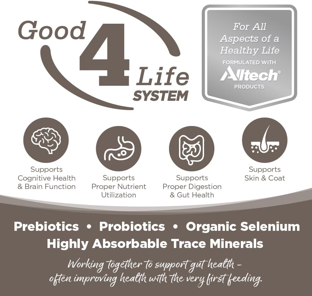 NutriSource Chicken & Rice Senior Dog Food, Premium Wet Dog Food, 12.3 Ounce (Pack of 12)