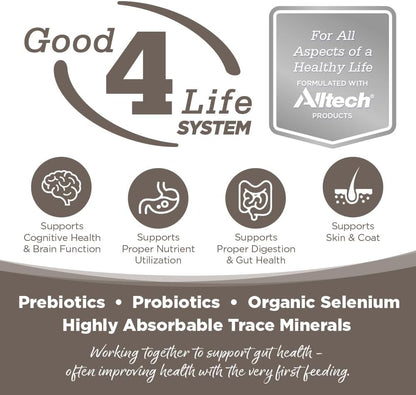 NutriSource Chicken & Rice Senior Dog Food, Premium Wet Dog Food, 12.3 Ounce (Pack of 12)