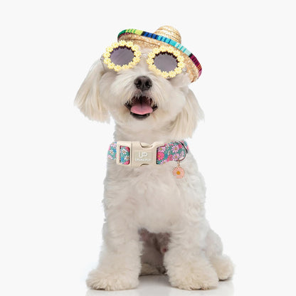 4th of July Dog Collar–American Flag Dog Collars,Patriotic Stars & Baseball Pet Collar with Quick Release,Adjustable for Small/Medium Dogs