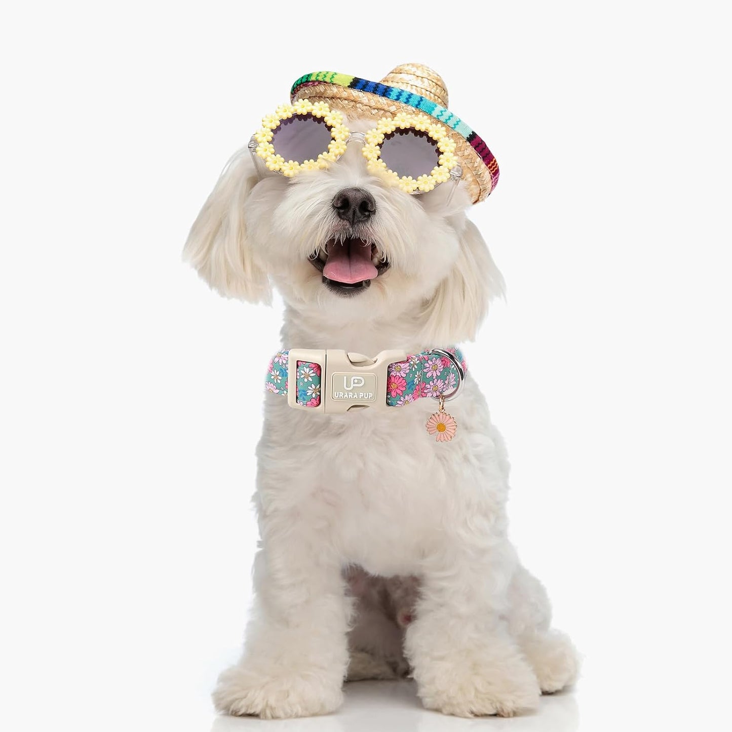 4th of July Dog Collar–American Flag Dog Collars,Patriotic Stars & Baseball Pet Collar with Quick Release,Adjustable for Small/Medium Dogs