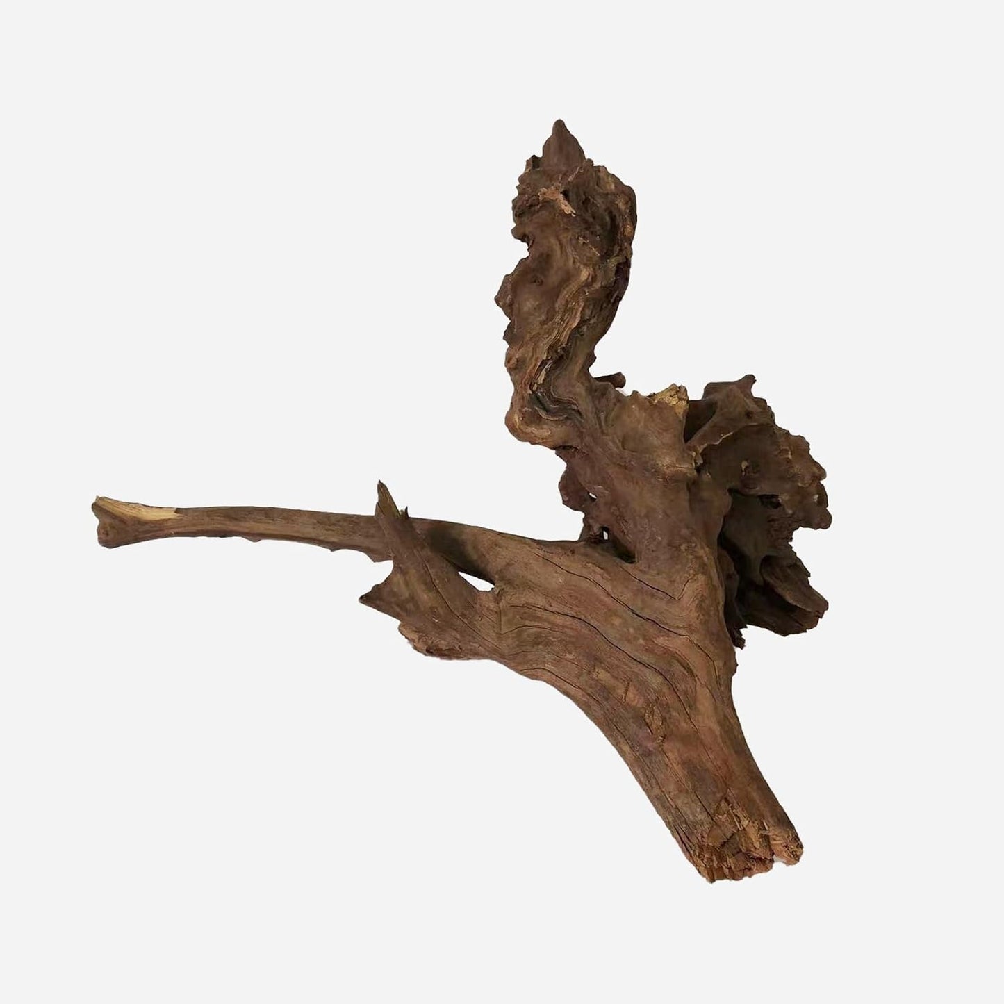 LYPHARD AQUARIUMS Natural Driftwood for Aquarium Decor, L23.62×W18.11×H16.14 Inches Large Drift Wood Decorations for Reptile Hide, Fish Tank, Optional Shapes