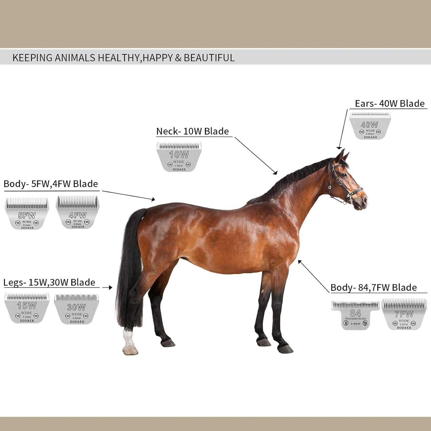 4 Pack Detachable Pet Dog Grooming Blades-Size 10W+7FW+5FW+4FW Dog Grooming Wide Blade,Cutting Length 1/16 in -3/8 in（1.5mm-9.5mm）,Compatible with Most Andis,Oster A5,Wahl km10 Clippers