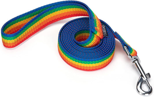 Strong Durable 6 ft Nylon Dog Training Leash, 1 Inch Wide Traction Rope, for Small and Medium Dog (Rainbow, 6 Feet)