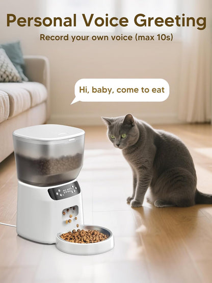 Automatic Cat Feeder and Water Fountain, 4L/16 Cups Timed Cat Dry Food Dispenser, 10s Meal Call, 20 Portions 6 Meals Per Day, 2L Cats Fountains for Drinking with Filter, Pet Feeder for Dog White