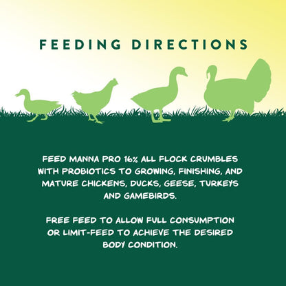 Manna Pro All Flock Crumbles – 16% Protein Complete Poultry Feed with Probiotics for Digestion, Crumbled Chicken & Game Bird Feed for All Flock Types, No Artificial Colors or Flavors, 25 lb
