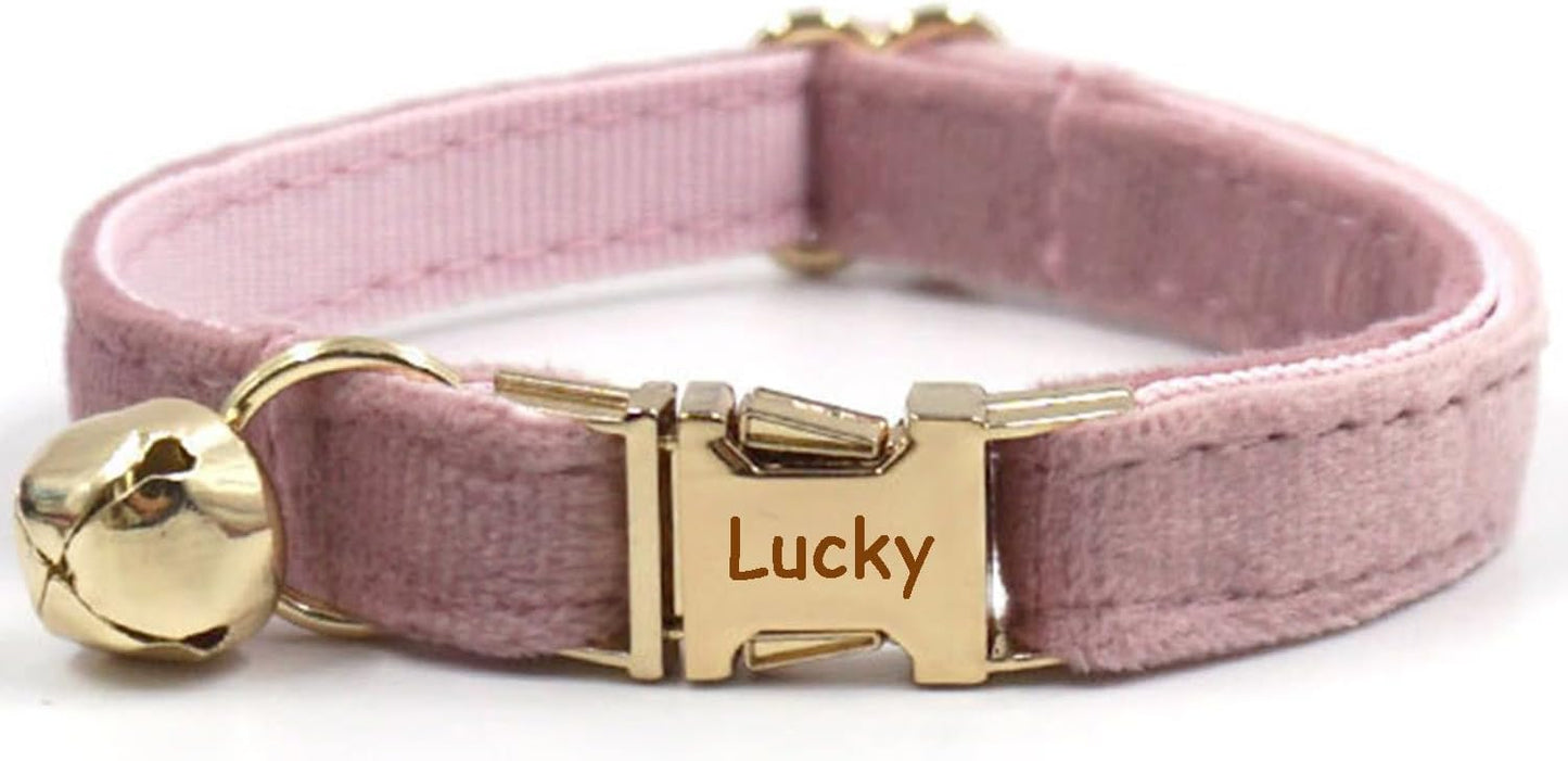 Personalized Cat Collar with Bells,Velvet Customized Small Cat Collar with Name Tag,Pet Collar with Name Phone Number Engraved ID Tags for Boy and Girl Kitten Cats (Champagne Powder)
