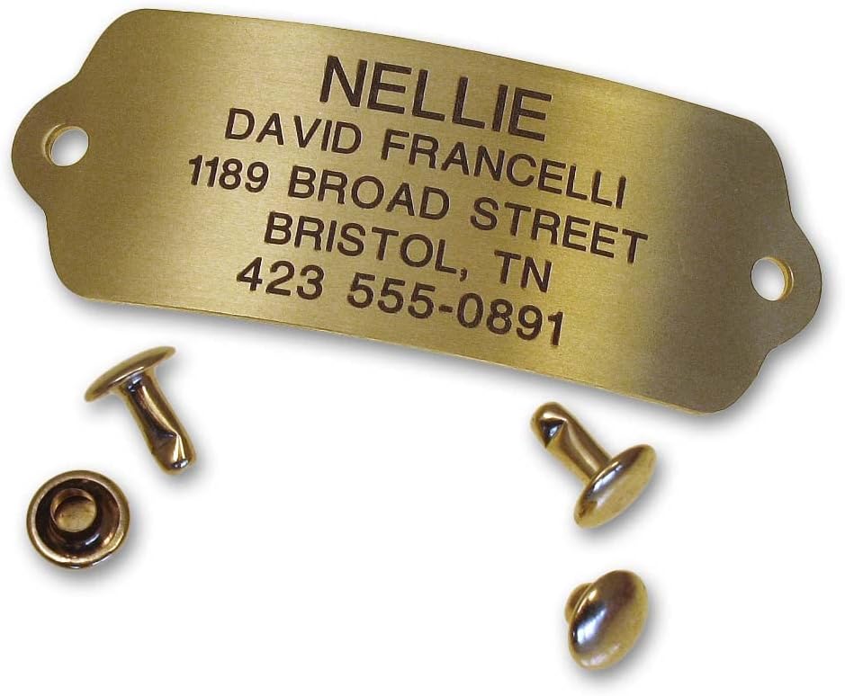 LuckyPet Rivet-On Pet ID Tag - Personalized, Silent and Customized - Suitable for Cats and Dogs - Heavy-Duty Pet Identification - Engraved Tags - Large, Polished Brass