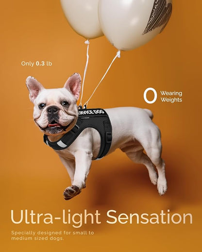 FAYOGOO Service Dog Vest for Small Dogs - Air Mesh Breathble Emotional Support Animal Vest with DIY Patches - Puppy Harness and Leash Set Adjustable Neck and Chest