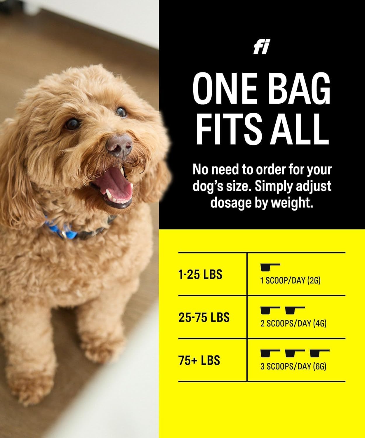 Fi 8-in-1 Dog Supplement Powder | Health Support for Bone, Skin, Digestion, Immunity & Joint Supplement for Dogs | Vet-Formulated for Puppies, Adults and Seniors | 90 Scoops