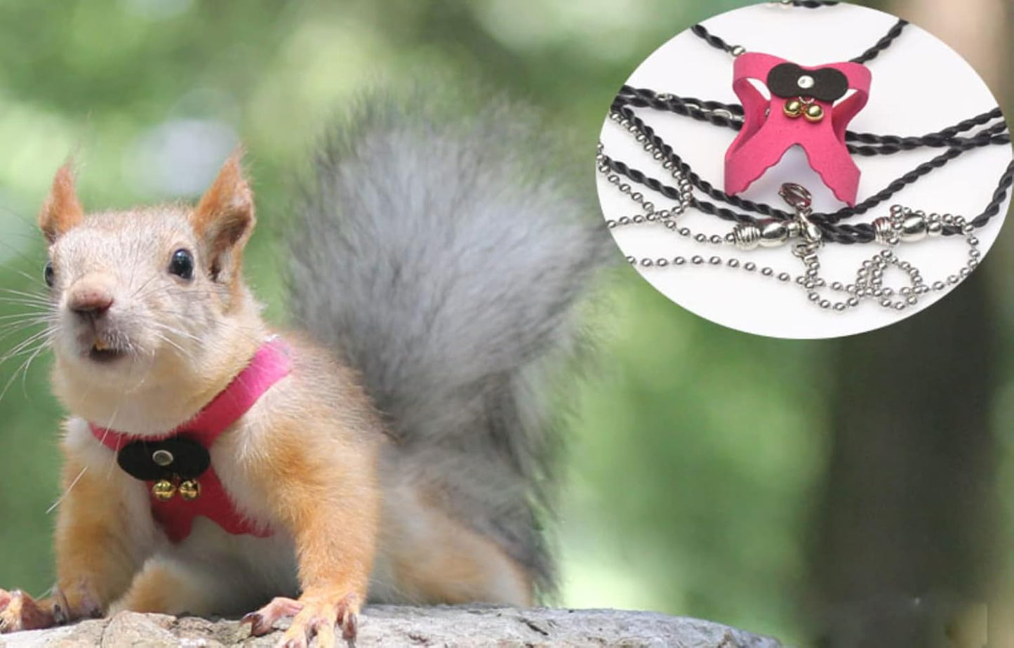 Squirrel Traction Rope Strap Anti-Biting Chain Rope, Adjustable Vest, Small Animal Walking Harness with Lead Leash with Free Collar for Hamster Gerbil Rat Mouse Ferret Chinchilla (Blue)