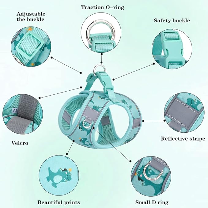 Step in Dog Harness and Leash Set, Flower Adjustable Easy Walk Puppy Harnesses, Soft Mesh No Pull Pet Vest Harness for Small Medium Dogs(Green, S)