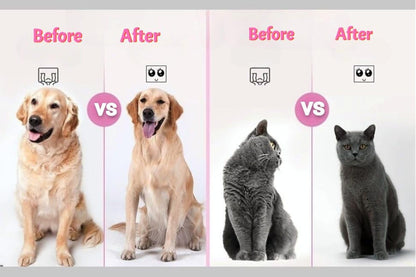 Pet Grooming Brush - Gentle Slicker for Removing Loose Undercoat, Suitable for Cats and Dogs (Blue)