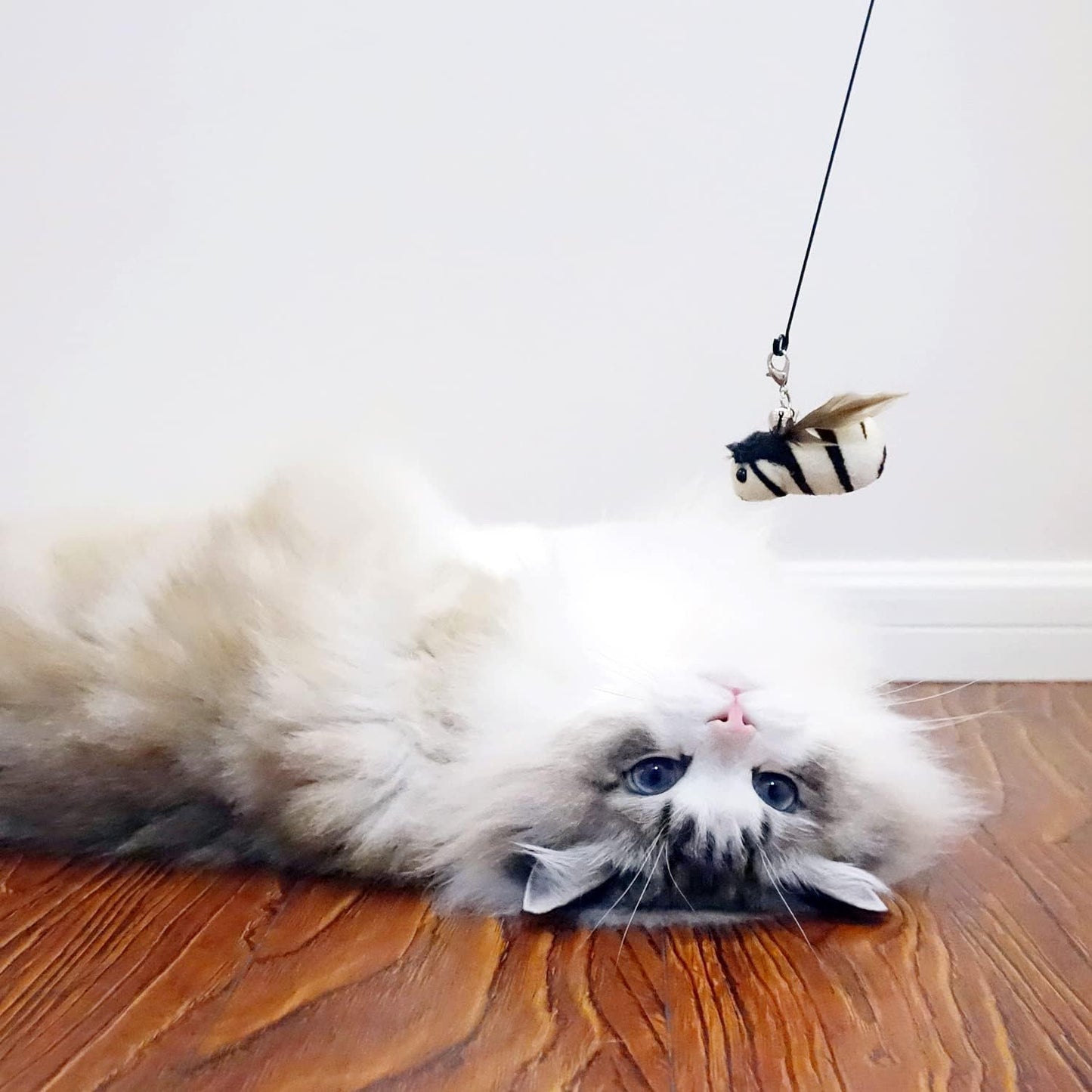 TTcat Cat Feather Toy Replacement Cat Toy Wand Refills, 4 Pcs Simulation Insects Bird Feathers Refills, Cat Toy Replacement Feathers for Cat Wand…