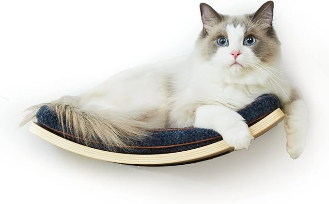 Cat Shelf with Comfortable Cushion - Curved Cat Shelves and Perches for Wall (Medium Size) - Wall Mounted Cats Furniture for Sleeping, Playing, Climbing, and Lounging