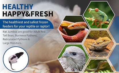 MiceDirect 15 Jumbo Rats: Fresh Fast Frozen Food for Corn Snakes Ball Pythons