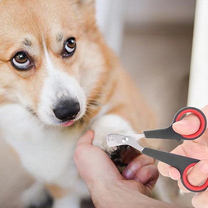 Cat Nail Clipper, Pet Nail Trimmers Bird Claw Scissors Stainless Steel Parrot Cage Essential Grooming Tool for Small Animals Ferrets Bunny Kitten Hamsters Rabbit Puppy Precision Sharp Cut