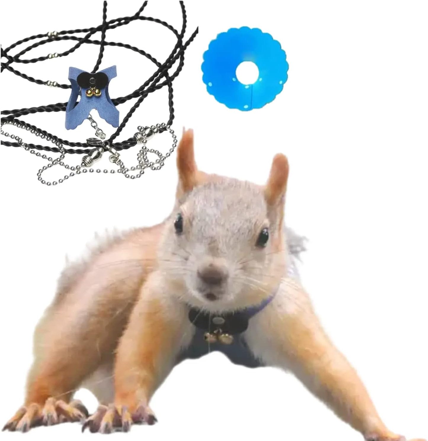 Squirrel Traction Rope Strap Anti-Biting Chain Rope, Adjustable Vest, Small Animal Walking Harness with Lead Leash with Free Collar for Hamster Gerbil Rat Mouse Ferret Chinchilla (Blue)