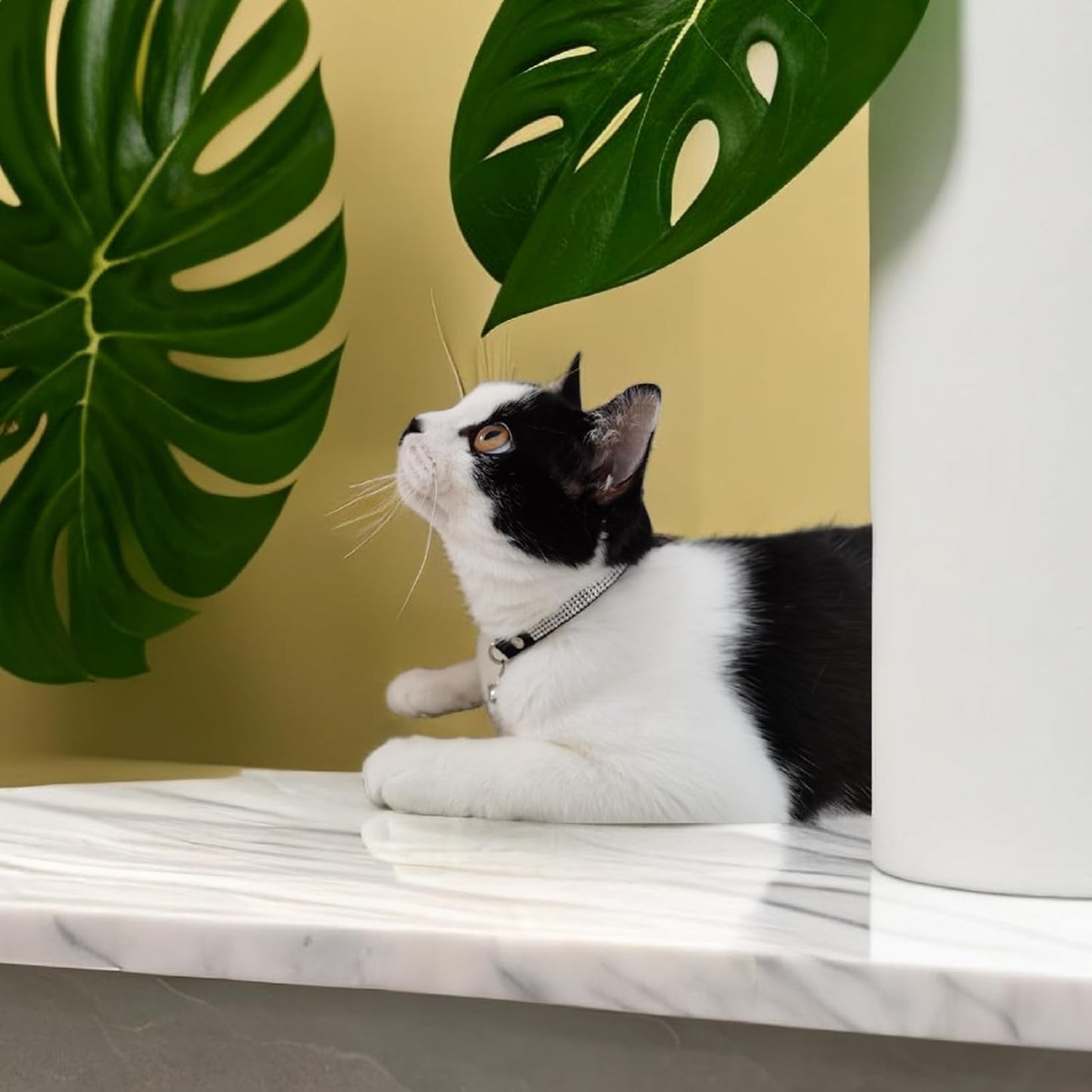 Rhinestone Cat Collar Breakaway with Bell Safety Buckle, Adjustable Diamond Girl Boy Kitty Cute Comfy Collar for Kitten Tiny Little Pets Rabbits, 6"-9" Blue Extra Small