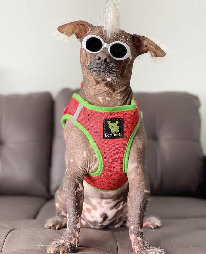 EcoBark Small Dog Harness - Luxury Soft Step in Reflective Ultra Padded Mesh Dog Harnesses for Toy Breed Dogs - Comfortable & Secure Body Halter Pet Vest (Small, Watermelon)