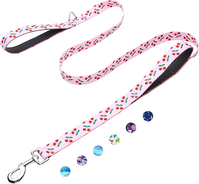 5ft Dog Leash with Two Padded Handles, Heavy Duty Strong Nylon Pet Leash with Soft Neoprene Handle for Small Medium Large Dogs, Cherry