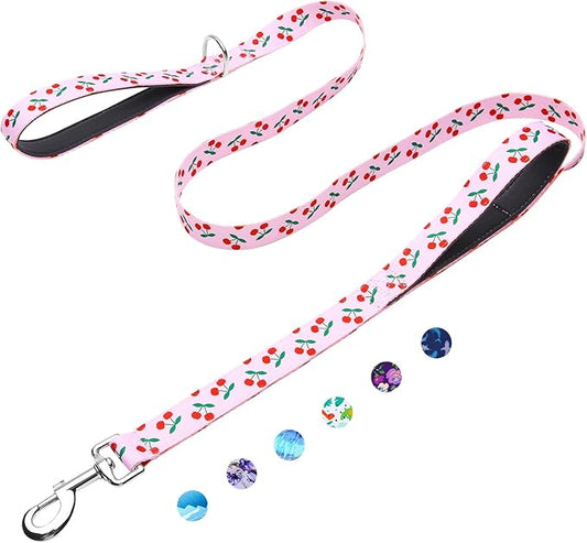 6ft Dog Leash with Two Padded Handles, Heavy Duty Strong Nylon Pet Leash with Soft Neoprene Handle for Small Medium Large Dogs, Cherry