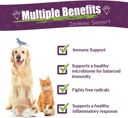 Amber NaturalZ Vibactra Immune Support Herbal Supplement for Dogs, Cats, Birds, Guinea Pigs, and Rabbits | Pet Herbal Blend for Overall Health | 4 Fluid Ounce Glass Bottle | Manufactured in The USA