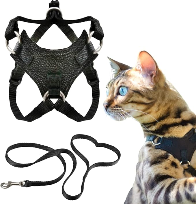 Houdini™ Escape Proof Cat Harness and Leash Set by OutdoorBengal for Walking Cats and Kittens (Vegan Leather, Kitten)