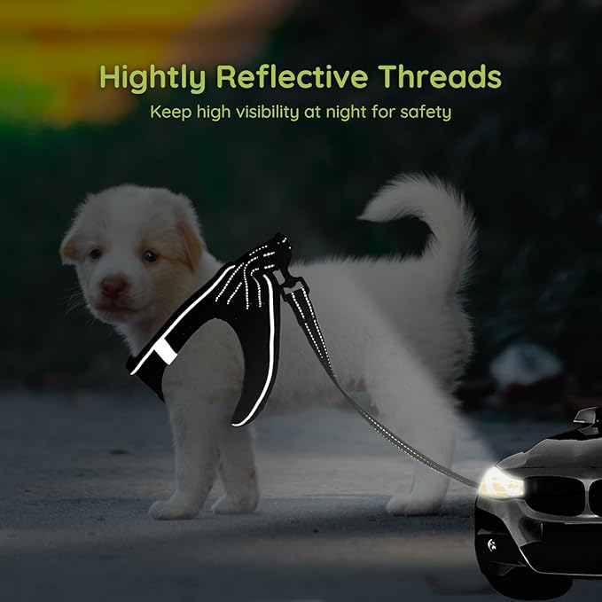 BELLA & PAL Step in Vest Harness for Small and Medium Dogs, No Pull Small Dog Harness with Leash Set, Comfortable Air Mesh Dog Vest Harness with Reflective Strip (Deep Black, XXS)
