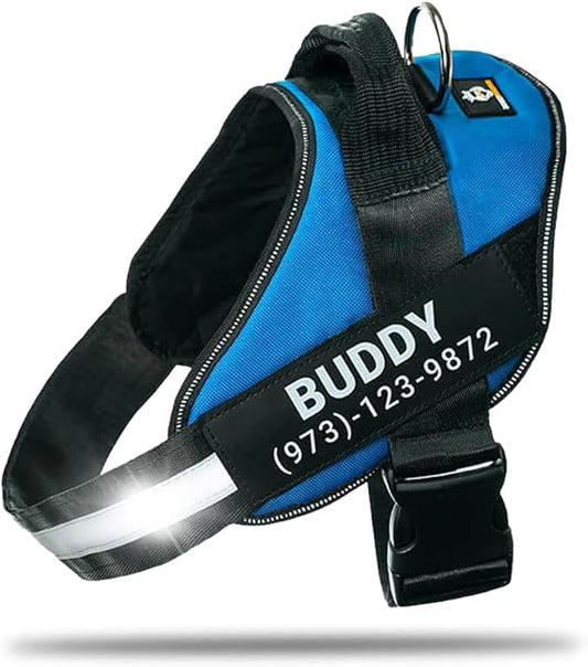 Personalized No-Pull Dog Harness with Name Patch, Adjustable, Reflective, Padded, Heavy Duty Pet Vest to Prevent Tugging, Pulling, or Choking, Training and Walking, Blue, L